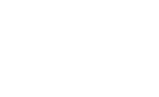 merit1